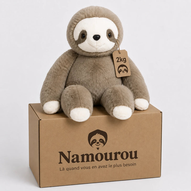 Peluche lestée Paresseux Namourou, 2 kg, assise sur son carton