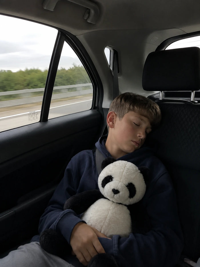Le compagnon de voyage.